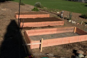 Redwood raised bed lined up